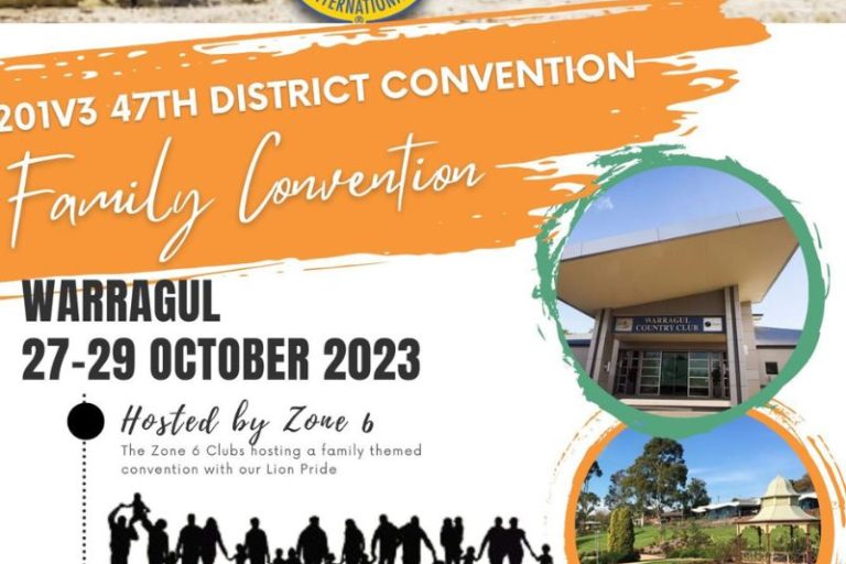 Lions 201 v3 Convention banner 2023