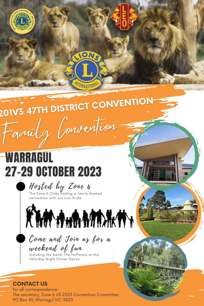 Lions 201 v3 Convention banner 2023